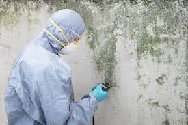 Best HVAC Mold Inspection and Cleaning  in Clairton, PA